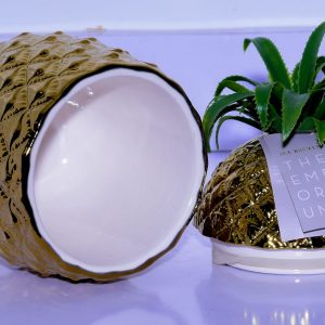 Ceramic Pineapple canister Shape Display Beautifully
