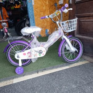 Xaming Mountain Bike Bicycle Size 16