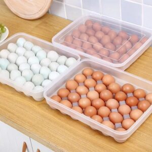 Egg Tray,The tray can hold upto 34 eggs