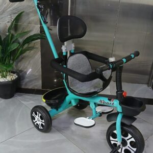 Push tricycle with detachable handle