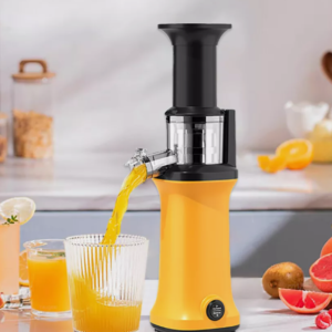 Portable Slow Juicer